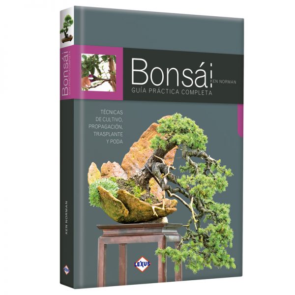 img-2019-01-bonsai_LIBON1-600x600.jpg