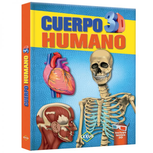 img-2019-01-cuerpo_humano_3d_LXPHU1-600x600.jpg