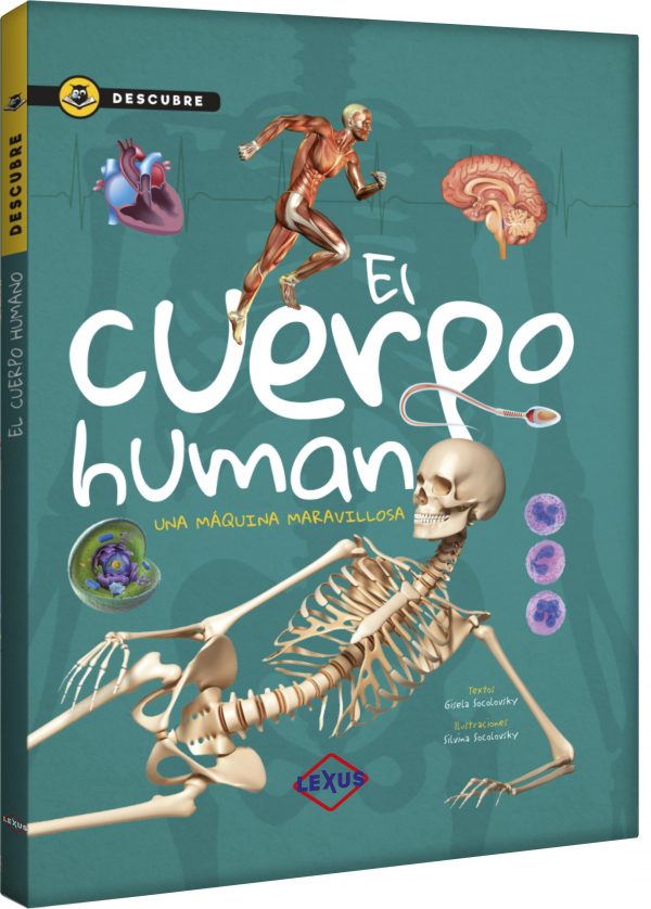 img-2020-07-SUDCU1-descubre-el-cuerpo-humano-600x838.jpg